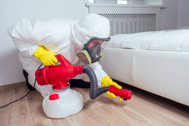 Best Mosquito Control Services  in Veazie, ME
